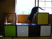 使用例