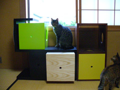 猫用ステップ付家具Jiino2007-3